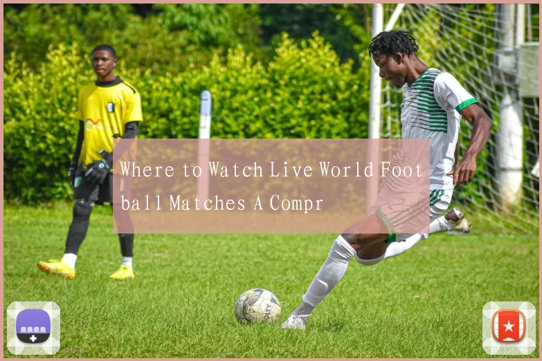 Where to Watch Live World Football Matches A Compr