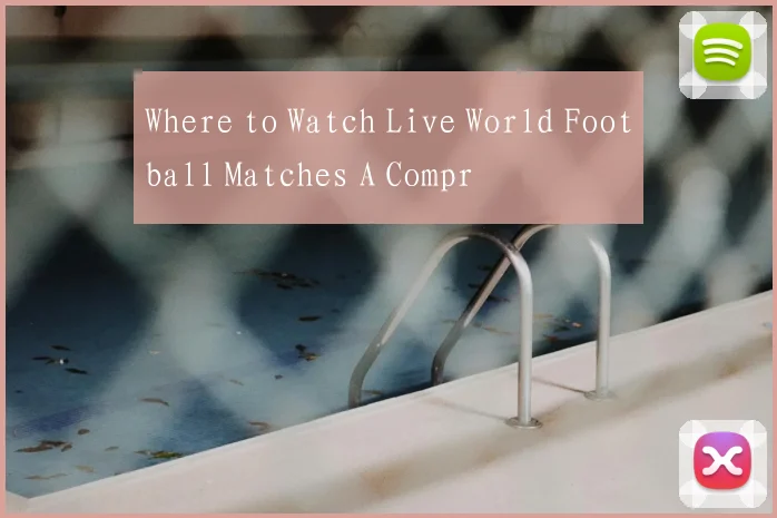 Where to Watch Live World Football Matches A Compr